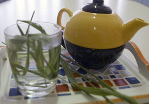 Capacitação é gratuita e pode ser feita por profissionais da Secretaria Municipal de Saúde