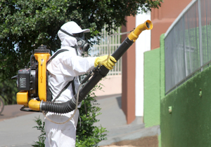 Ação Emergencial de Combate à Dengue vai à Vila Casoni