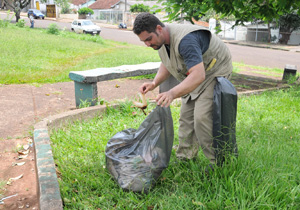 Endemias alerta para criadouros do mosquito da Dengue