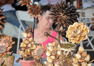 Ampliação do período da feira é devido à comemoração de aniversário de 10 anos