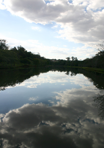 No domingo (8) acontece o “Visite o Parque” que trará diversas atrações para adultos e crianças