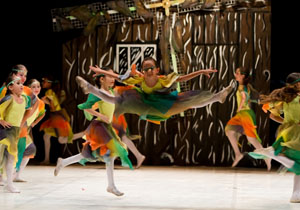 Dom Quixote - Funcart - foto Mariana Hertel e Fabio Alcover 2 1 foto 3