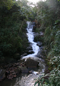 Alunos do 5º ano do ensino fundamental vão ao Parque Arthur Thomas, onde vão participar de diferentes ações