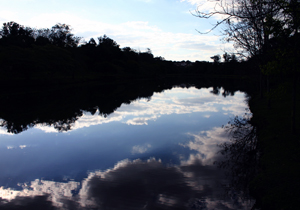 Alunos do 5º ano do ensino fundamental vão ao Parque Arthur Thomas, onde vão participar de diferentes ações