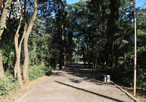 Cidadãos poderão sugerir melhorias que podem ser feitas naquele espaço; ideias do público serão utilizadas para a elaboração do projeto