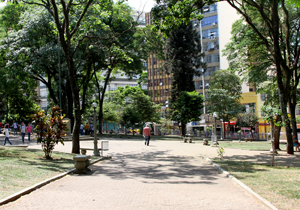 flores.praça.VP