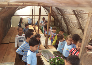 Crianças visitam o Viveiro Municipal