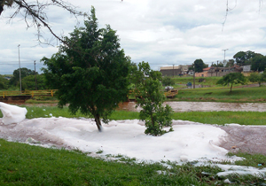 poluição.lago.foto joão batista de almeida