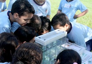 Estudantes atuam no combate à dengue na região norte