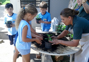 educação.plantio.flores.DP