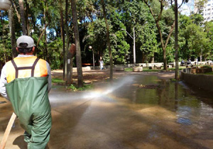 bosque.foto cmtu P