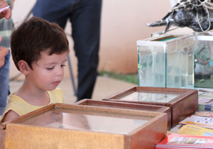 dia.construção.social.N2