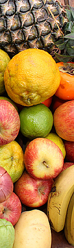 SegurancaAlimentarLJ3P