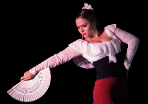 Nosso Flamenco CampinasfOTOVitor DamianiDP