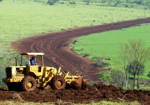 Um dos objetivos do encontro é definir diretrizes para reelaboração do Plano Municipal de Desenvolvimento Rural de Londrina