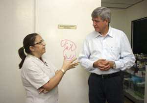 castração.inicio.V2