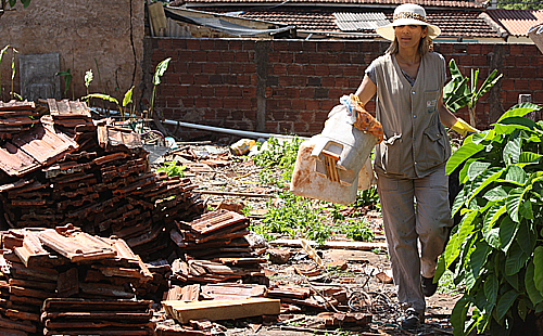 Ações foram realizadas em diversas regiões da cidade e contaram com a parceria de diferentes instituições