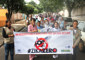 açao.dengue.escola.VP