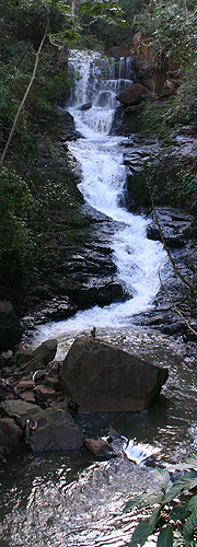 Equipe de Educação Ambiental da Sema realiza evento com estudantes para incentivar a preservação da água e das nascentes