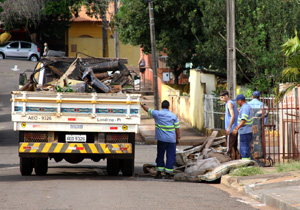 Dengue.arquivo.P