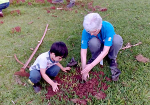 mudas.distrito.foto sec agricultura.P