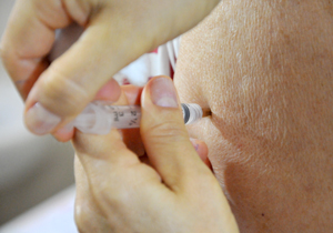 Vacinacao.dengue.arquivo.P