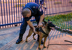 guarda.canil.foto Guarda municipal.P