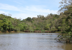 dia.agua.parque.arthur.thomas.ARQUIVO.2