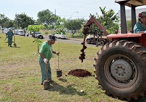 mutirão.lindóia.LJ2