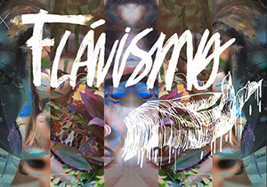 flavismo.expo.museu.DP