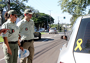 blitz.maio.amarelo.V2