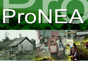 pronea.DP