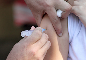 vacina.gripe.ARQUIVO.P