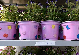 vazos.biblioteca.ARQUIVO.P