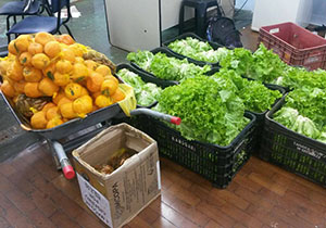 cmtu.alimentos.foto cmtu.2