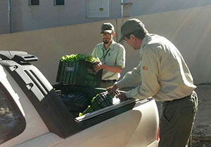 cmtu.alimentos.foto cmtu.P