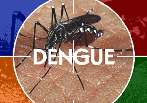 Dengue.liraa.ILUSTRATIVA.P