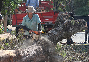 mutirão.ouro.branco.foto n.com.5