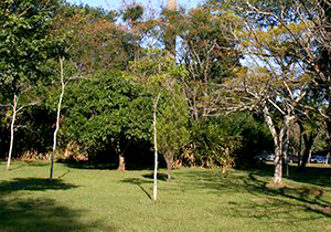 sema.bosque.ARQUIVO.P