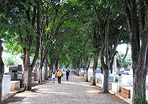 ambulantes.finados.ArquivoP