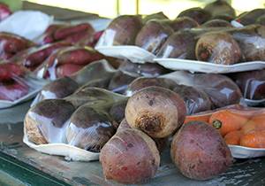 feira.produtor.ARQUIVO.P