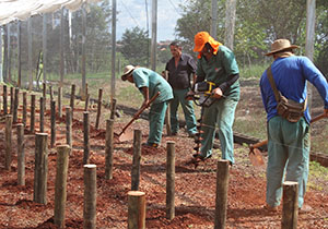 SEMA inicia construção de mesas para estufas do Viveiro Municipal