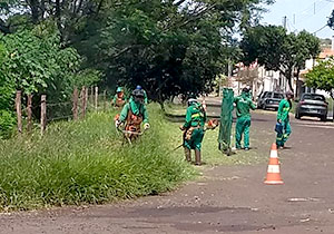 CMTU realiza a capina de áreas públicas em 13 bairros nesta segunda (26)