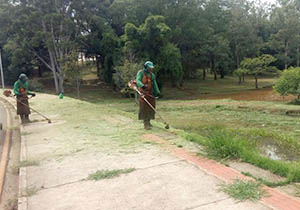 CMTU informa os serviços de limpeza desta sexta (2)