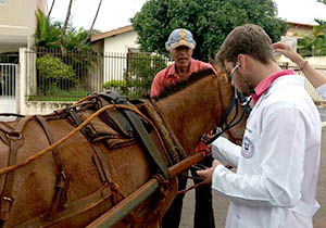 mutirao.credenciamento.carroceiros.DP