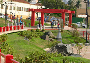 mutirao.cidadania.ARQUIVO.P