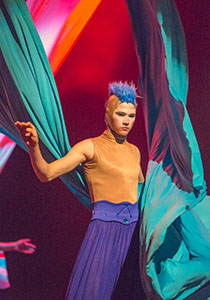 Circo da Alegria.D.2