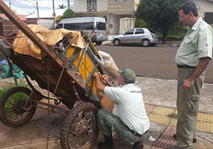 carroceiros.foto cmtu.P