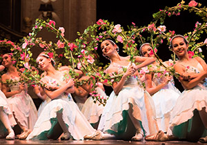 A Bela Adormecida foto de Fabio Alcover.2