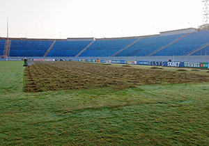 estadio.campo.D2